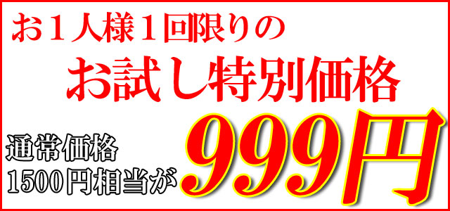 お試し特別価格999円