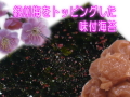 �����ߤ�ȥåԥ󥰤���̣�դ�����